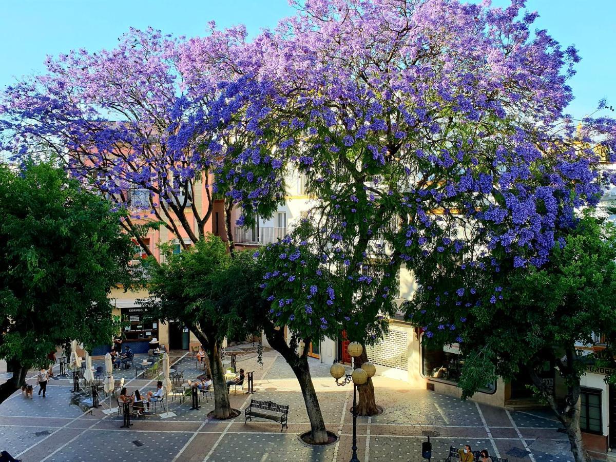Sherryflat Senovilla Jerez de la Frontera Dış mekan fotoğraf
